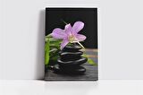 Spa Taşları ve Orkide Kanvas Tablo