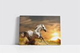 Koşan Beyaz At Kanvas Tablo