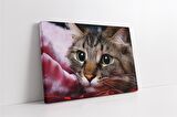 Kedi Kanvas Tablo
