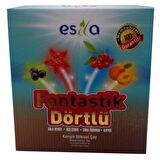 Esila Fantastik Dörtlü Organik Yaz Bardak Poşet Çay 90 gr 45'li 