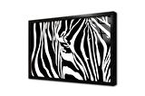 Yakın Çekim Zebra Çerçeveli Cam Tablo