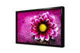 Pembe Çiçek Makro Çerçeveli Cam Tablo
