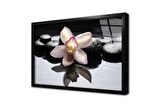 Spa Taşları ve Orkide Çerçeveli Cam Tablo