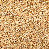 SUSAM KAVRULMUŞ (250GR)