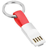Ayt Powermaster 2in1 Anahtarlık Type C Lightning Mini Anahtarlık USB Şarj Kablosu PM-26061