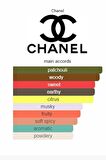 Channel Chance Parfüm 75ml Edp Kadın Parfüm Ultra Kalıcılık Ve Yayılım En Üst Kalite