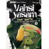 BBC Motion Gallery - Vahşi Yaşam Tropik Güzeller İşaretler ve Sesler Yalnız Yaşayan Türler -  (DVD)