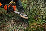 Echo CS 621 SX Motorlu Testere 4,5HP