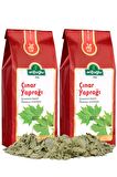 Arifoğlu Çınar (Yaprağı) 30g (2 Adet)