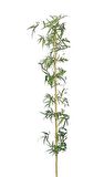 Yapay Bambu Sopası 21 Yapraklı 240cm Yapay Çiçek Bambu Duvarı