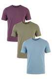 Buratti Pamuklu Regular Fit Bisiklet Yaka 3'lü Paket T Shirt Erkek T SHİRT 59020204S3 Mürdüm-Vizon Yeşili-Mavi