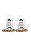 2 Adet Lavanta Bitki 100 Gr.