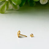 14 Ayar Altın Kaplumbağa Tragus Küpe
