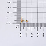 14 Ayar Altın Kaplumbağa Tragus Küpe