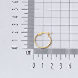 14 Ayar 2 cm. Çaplı Klasik Halka Altın Küpe