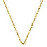 Force 14 Ayar Altın Zincir Kolye (2 mm Enli) 60 cm.
