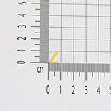 Çivili Minimal 14 Ayar Z Harfi Altın Küpe