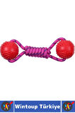 Evcil Hayvan Ağız Diş Kaşıma Çiğneme Temizleme Eğlenceli Vakit Kauçuk Top Köpek Oyuncağı 2 Adet