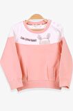 Breeze Kız Çocuk Sweatshirt Tavşan Nakışlı 1-4 Yaş, Somon