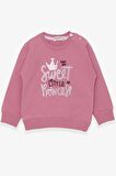 Breeze Kız Çocuk Sweatshirt Nakışlı Pullu 1-4 Yaş, Gülkurusu