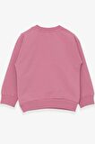 Breeze Kız Çocuk Sweatshirt Nakışlı Pullu 1-4 Yaş, Gülkurusu