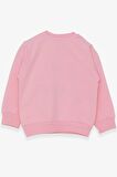 Breeze Kız Çocuk Sweatshirt Nakışlı Pullu 1-4 Yaş, Pudra