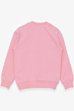 Breeze Kız Çocuk Sweatshirt Simli Kedicik Baskılı 1.5-5 Yaş, Pudra