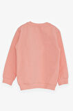 Breeze Kız Çocuk Sweatshirt Ayıcık Aksesuarlı 1.5-5 Yaş, Somon