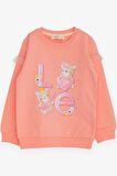 Breeze Kız Çocuk Sweatshirt Ayıcık Baskılı 1-4 Yaş, Somon
