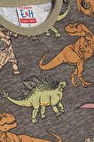 BREEZE GİRLS & BOYS Erkek Bebek Pijama Takımı Dinozor Desenli 9 Ay-3 Yaş, Antrasit
