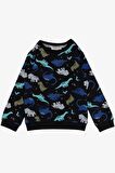 BREEZE GİRLS & BOYS Erkek Çocuk Eşofman Takımı Dinozor Desenli 1-4 Yaş, Siyah