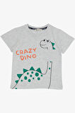 Breeze Erkek Çocuk Şortlu Takım Çılgın Dinozor Baskılı 1.5-5 Yaş, Açık Gri Melanj
