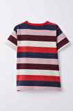 Breeze Kız Çocuk Tişört Patlı Çizgili 1-4 Yaş, Karışık Renk