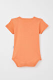 Breeze Erkek Bebek Çıtçıtlı Zıbın Body Basic 9 Ay-3 Yaş, Somon