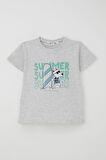 Breeze Erkek Çocuk Şortlu Takım Yaz Temalı Sörfçü Köpekçik Baskılı 2-6 Yaş, Açık Gri Melanj