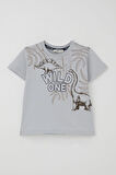 Breeze Erkek Çocuk Şortlu Takım Güçlü Dinozorlar Baskılı 3-8 Yaş, Gri