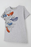 Breeze Erkek Çocuk Tişört Mavi Dünyanın Kahramanları Balinalar 5-9 Yaş, Açık Gri Melanj