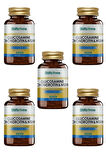 Shiffa Home Aksuvital Shıffa Home Glucosamine Chondroitine Msm 60 Tablet X 5 Adet