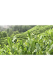 Rize Turist Çay 500 Gr X 6 Paket
