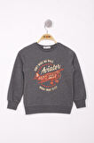 Toontoy Erkek Çocuk Uçak Baskılı Sweatshirt