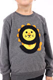 Toontoy Erkek Çocuk Eşofman Takım 9 Aslan Nakışlı