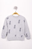 Toontoy Erkek Çocuk Köpek Baskılı Sweatshirt