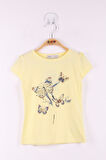 Toontoy Kız Çocuk  Kelebek Taş Baskılı T-Shirt