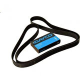 Unıversal Kanallı Kayıs - Dayco 8pk1761hd