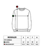 Toontoy Erkek Çocuk Baskılı Sweatshirt