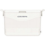 IcePeak CoolCraft 46 Buzluk 41.6 Litre Beyaz