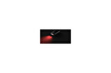 K6R 4GB GRAY LED502593