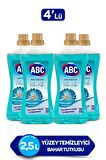 ABC Bahar Tutkusu Granit Sıvı Yüzey Temizleyici 4x2.5 lt 