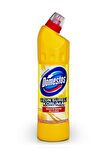 Domestos Maksimum Hijyen Limon Ferahlığı Konsantre Jel Çamaşır Suyu 750 ml