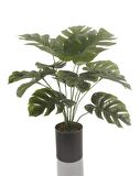 Yapay Çiçek Monstera Deve Tabanı Siyah Saksılı Salon Çiçeği 12 Yaprak